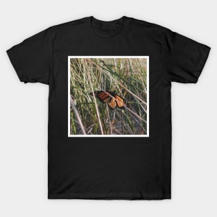 Butterfly T-Shirt